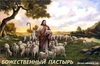 94193 божест. пастырь